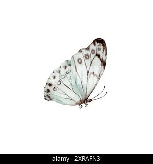 Vintage-Schmetterling. Esoterisches Mottensymbol. Handgezeichnete Aquarellillustration isoliert auf weißem Hintergrund. Designelement für natürliche Muster, florale Muster Stockfoto