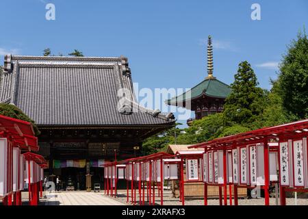 Narita, Japan - 23. Juli 2024: Die berühmte große Pagode des Friedens erhebt sich an der Komyo-Do Halle im Naritasan Shinsho-JI Tempel in der Nähe von Tokio in Japan Stockfoto