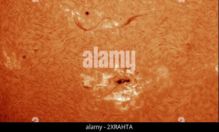 London, Großbritannien. August 2024. Nahaufnahme des Sonnenflecks AR3780 mit Blick auf die Erde, Detailfoto in Wasserstoff-Alpha-Licht. Quelle: Malcolm Park/Alamy Live News Stockfoto