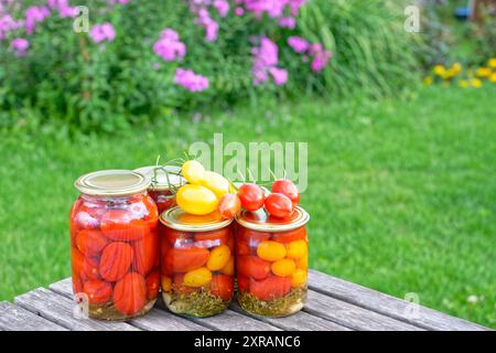 Gläser mit hausgemachten eingelegten Tomaten, mit Metalldeckeln versiegelt Stockfoto