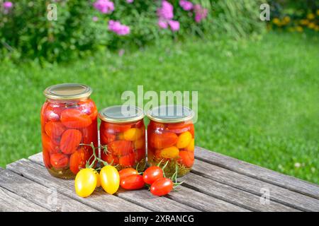 Hausgemachte gesalzene eingelegte Tomaten, in Glasgläsern haltbar gemacht Stockfoto