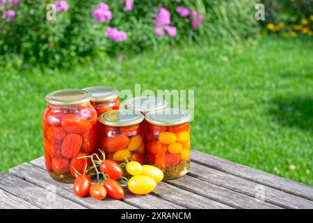 Gläser mit hausgemachten eingelegten Tomaten, mit Metalldeckeln versiegelt Stockfoto