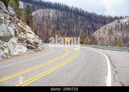 Verbrannte Bäume entlang einer kurvigen Bergstraße in Kalifornien an einem bewölkten Herbsttag Stockfoto