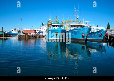 Kommerzielle Fischerboote legten an einem sonnigen Tag im Fremantle Fishing Boat Harbour in der Hafenstadt Fremantle, Perth, Western Australia, an. Stockfoto