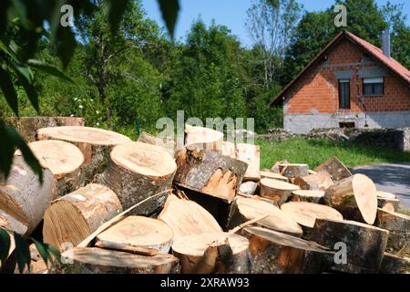 Baumstämme, die für Winterbrände in Baumstümpfe geschnitten werden. Stockfoto