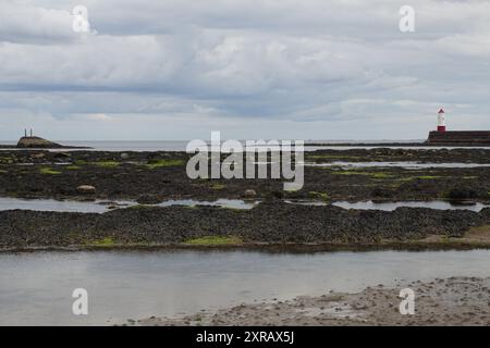 Berwick-upon-Tweed Beach, die Grenzstadt in Northumberland England, 2,5 km von Schottland, Großbritannien Stockfoto