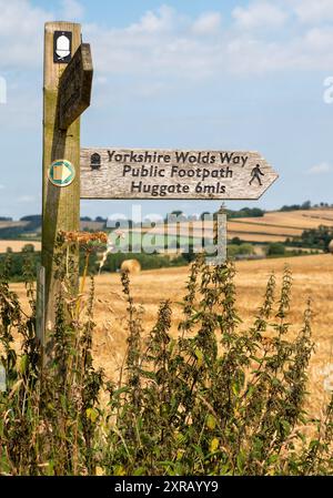 Wolds Way Holzschild in ländlicher Umgebung mit öffentlichem Fußweg und Huggate 6 Meilen an sonnigen Tagen mit blauem Himmel. Stockfoto