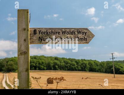Wolds Way Holzschild in ländlicher Umgebung mit öffentlichem Fußweg und Nunburnholme 3 Meilen an sonnigem Tag mit blauem Himmel. Stockfoto