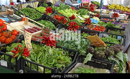 Florenz, Italien - 30. September 2009: Frisches und biologisches Gemüse und Obst auf dem Central Farmers Market in der Herbstsaison der Stadt. Stockfoto