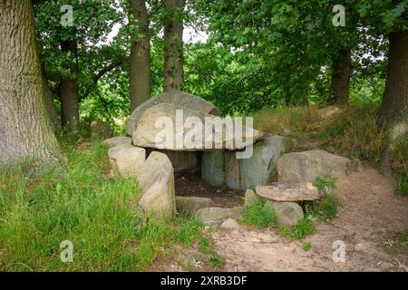 Die Lancken-Granitz-Dolmen wurden im Sommer im Mittelneolithikum auf der Insel Rügen errichtet Stockfoto