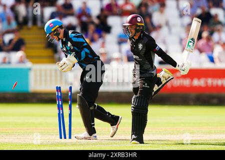 Taunton, Großbritannien, 9. August 2024. Somerset's Lewis Goldsworthy macht sich beim One-Day-Cup-Spiel der Metro Bank zwischen Somerset und Worcestershire auf den Boden. Quelle: Robbie Stephenson/Somerset Cricket/Alamy Live News Stockfoto