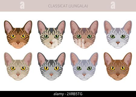 Classicat, Jungala Cat Clipart. Alle Lackfarben festgelegt. Infografik zu den Merkmalen aller Katzenrassen. Vektorabbildung Stock Vektor