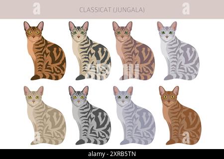 Classicat, Jungala Cat Clipart. Alle Lackfarben festgelegt. Infografik zu den Merkmalen aller Katzenrassen. Vektorabbildung Stock Vektor