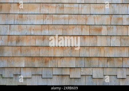 Verwitterte natürliche Zedernschindeln. Bräunlicher beiger Hintergrund mit Schindelwand Stockfoto