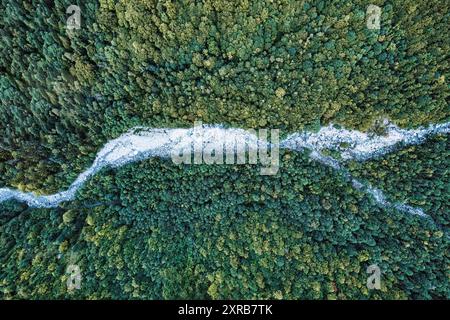 Blick von oben auf den immergrünen tropischen Regenwald mit Fluss, der durch den Nationalpark fließt Stockfoto