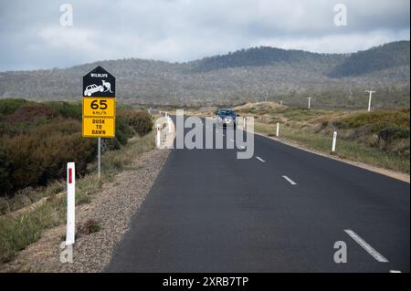 Ein tasmanisches Straßenschild mit einem Warnschild für Wildtiere, das ein Känguru auf einem Auto zeigt, entlang einer Küstenstraße, der Bay of Fires. Es ist ein paar Meilen entfernt Stockfoto