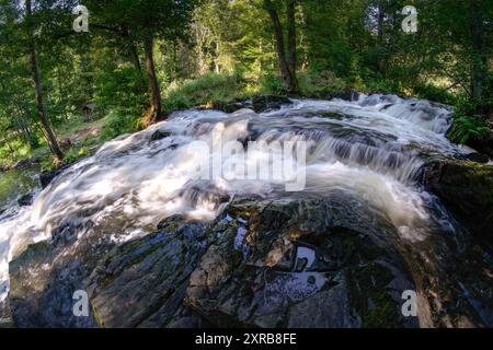 09.08.2024 Blick auf den Selkefall bei Harzgerode im Landkreis Harz in Sachsen-Anhalt. Der kleine Wasserfall liegt im oberen Selketal, einem Naturschutzgebiet im Unterhalz. Obwohl der Fall ein bisschen umgestüm aussehen, ist er nicht natürlich entstanden, sondern wurde Anafang des 19. Jahrhundert von Menschen erschaffen. Die Stelle ist ein tolles Ausflugsziel und bei vielen Wanderern sehr beliebt. Alexisbad Sachsen-Anhalt Deutschland *** 09 08 2024 Blick auf die Selkefälle bei Harzgerode im Landkreis Harz in Sachsen-Anhalt der kleine Wasserfall liegt im oberen Selketal, einem Naturpark Stockfoto