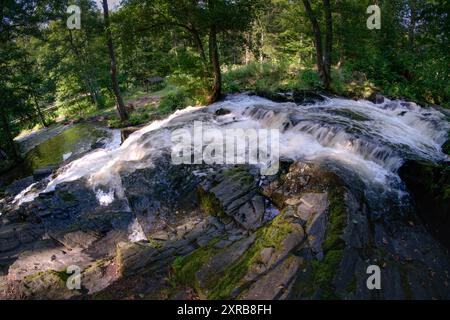 09.08.2024 Blick auf den Selkefall bei Harzgerode im Landkreis Harz in Sachsen-Anhalt. Der kleine Wasserfall liegt im oberen Selketal, einem Naturschutzgebiet im Unterhalz. Obwohl der Fall ein bisschen umgestüm aussehen, ist er nicht natürlich entstanden, sondern wurde Anafang des 19. Jahrhundert von Menschen erschaffen. Die Stelle ist ein tolles Ausflugsziel und bei vielen Wanderern sehr beliebt. Alexisbad Sachsen-Anhalt Deutschland *** 09 08 2024 Blick auf die Selkefälle bei Harzgerode im Landkreis Harz in Sachsen-Anhalt der kleine Wasserfall liegt im oberen Selketal, einem Naturpark Stockfoto