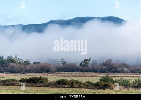 Ein herbstlicher nebeliger Morgen mit einem Hintergrund der Mount Ben Lomond Range im Ben Lomond National Park in den nördlichen Midlands von Tasmanien in aus Stockfoto