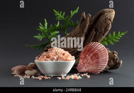 Rosafarbenes himalaya-Salz mit Schlangen, grünen Thuja-Zweigen und Muscheln. Himalaya-Salz in weißer Schüssel auf schwarzem Hintergrund. Kopierbereich. Stockfoto