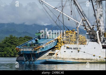 PAPUA NEUGUINEA, Madang, Alexishafen, Thunfischfangschiff von RD Fishing PNG Ltd, Thunfischfang für eigene Konservenfabrik RD Thuna Canners Ltd. Für lokalen Markt und Export, Fischereifahrzeug FV Veera / PAPUA NEUGUINEA, Madang, Alexishafen, Thunfisch Fangflotte von RD Fishing PNG Ltd, Thunfisch wird in eigener Fabrik RD THUNFISCH CANNERS Ltd. für Herstellung von Thunfischdosen, frischem Thunfisch und Tiefkühlware für lokalen Markt und Export u.a. nach Europa verarbeitet, Thunfisch Fangschiff FV Veera Stockfoto