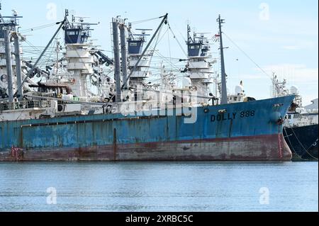 PAPUA-NEUGUINEA, Madang, Alexishafen, Thunfischfangschiff von RD Fishing PNG Ltd, Thunfischfang für eigene Konservenfabrik RD Thuna Canners Ltd. Für lokalen Markt und Export / PAPUA NEUGUINEA, Madang, Alexishafen, Thunfisch Fangflotte von RD Fishing PNG Ltd, Thunfisch wird in eigener Fabrik RD THUNFISCH CANNERS Ltd. für Herstellung von Thunfischdosen, frischem Thunfisch und Tiefkühlware für lokalen Markt und Export u.a. nach Europa verarbeitet, Thunfisch Fangschiffe Dolly 888 und Dolores Stockfoto