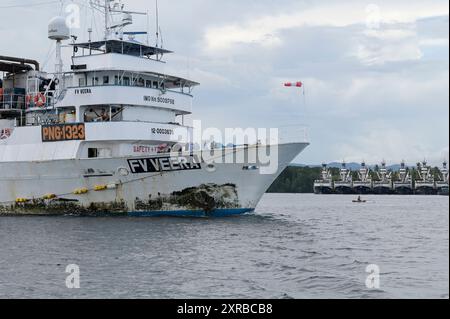 PAPUA NEUGUINEA, Madang, Alexishafen, Thunfischfangschiff von RD Fishing PNG Ltd, Thunfischfang für eigene Konservenfabrik RD Thuna Canners Ltd. Für lokalen Markt und Export, Fischereifahrzeug FV Veera / PAPUA NEUGUINEA, Madang, Alexishafen, Thunfisch Fangflotte von RD Fishing PNG Ltd, Thunfisch wird in eigener Fabrik RD THUNFISCH CANNERS Ltd. für Herstellung von Thunfischdosen, frischem Thunfisch und Tiefkühlware für lokalen Markt und Export u.a. nach Europa verarbeitet, Thunfisch Fangschiff FV Veera Stockfoto