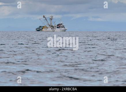 PAPUA NEUGUINEA, Madang, Alexishafen, Thunfischfangschiff von RD Fishing PNG Ltd, Thunfischfang für eigene Konservenfabrik RD Thuna Canners Ltd. Für lokalen Markt und Export, Fischereifahrzeug FV Veera / PAPUA NEUGUINEA, Madang, Alexishafen, Thunfisch Fangflotte von RD Fishing PNG Ltd, Thunfisch wird in eigener Fabrik RD THUNFISCH CANNERS Ltd. für Herstellung von Thunfischdosen, frischem Thunfisch und Tiefkühlware für lokalen Markt und Export u.a. nach Europa verarbeitet, Thunfisch Fangschiff FV Veera Stockfoto