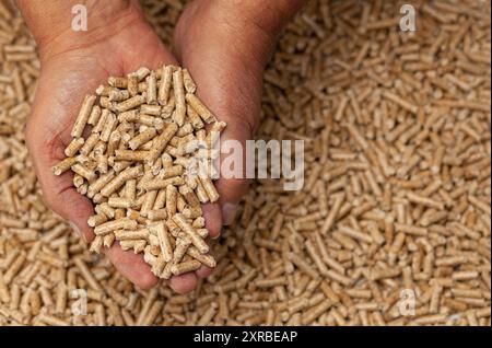 Alternative Biokraftstoffe aus Sägemehl pellets in Händen. Stockfoto