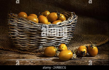 Sorten gelbe Heirloom Tomaten namens Yellow pear und Gelb datterino (oder Pflaume) Cherry Tomaten. Stockfoto