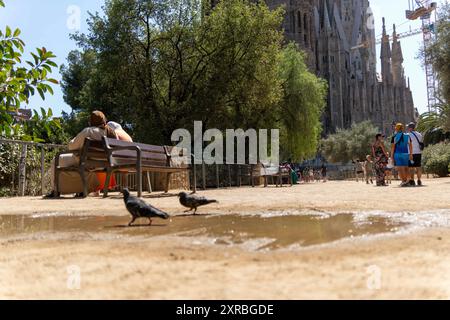 Barcelona, Spanien. August 2024. Spanien beginnt mit einer neuen Hitzewelle, die voraussichtlich extrem sein wird, mit normalisierten Temperaturen von 40 Grad. ESPA-a comienza una nueva ola de calor, que se prev extrema, con temperaturas normalizadas de 40 grados. News cronaca -Barcelona, Spanien Freitag, 9. August 2024 (Foto: Eric Renom/LaPresse) Credit: LaPresse/Alamy Live News Stockfoto