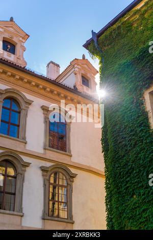 Alte Gebäude in Prag und grüne Efeupflanzen, die an der Wand wachsen, Europa, Tschechien Stockfoto