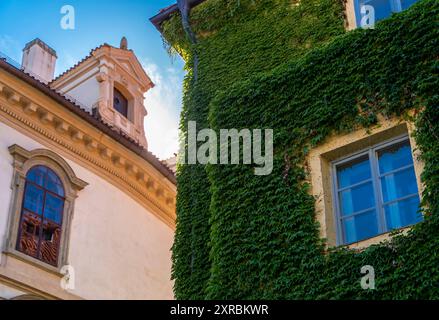 Alte Gebäude in Prag und grüne Efeupflanzen, die an der Wand wachsen, Europa, Tschechien Stockfoto