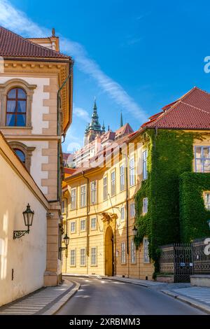 Enge Straße mit alten Gebäuden in Prag, Tschechien, grüne Efeupflanzen wachsen an der Wand Stockfoto