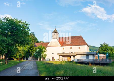 Wilhelmsburg, Schloss Kreisbach im Mostviertel, Niederösterreich, Österreich Stockfoto