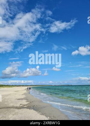 Zwei Urlauber spazieren an einem Sommertag am breiten Sandstrand im Ostseebad Prerow, Mecklenburg-Westkugel Stockfoto