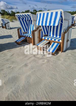 Liegestühle mit blau-weißen Markisen stehen an einem Sommertag vor blauem Himmel an einem weißen Sandstrand im Ostseebad Prerow, Mecklenburg-Vorpommern Stockfoto