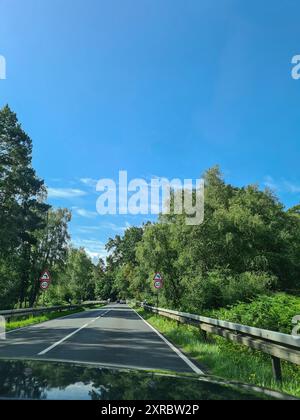 Blick aus dem Auto auf die Straße mit Fahrbahnmarkierungen in einem Waldgebiet zum Thema Geschwindigkeit und Geschwindigkeit, Mecklenburg-Vorpommern, Ostsee, Deutschland Stockfoto