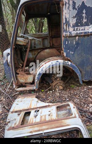 Illegal abgestelltes Fahrzeug in einem Wald Stockfoto