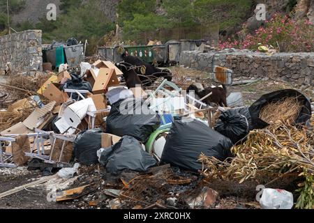 Ziegen auf Mülldeponien, einschließlich Plastiktüten, Pappe, alte Möbel und Gartenabfälle. Im Hintergrund Müllcontainer und blühender Oleander. Stockfoto