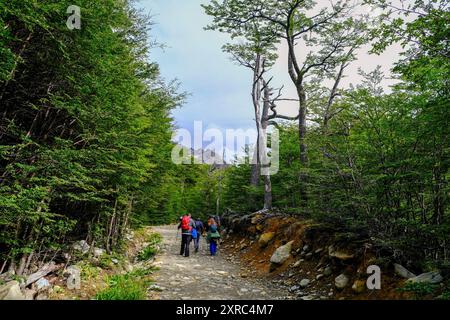 Cerro Martial, Ushuaia, Feuerland, Argentinien Stockfoto