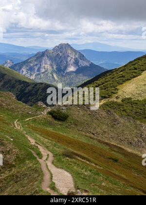 Wandern Sie im Nationalpark Mala Fatra in der Slowakei mit Blick auf Velky Rozsutec. Stockfoto