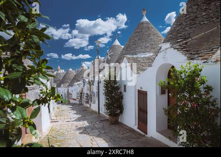 Blick auf die romantischen Gassen von Alberobello in Apulien, Süditalien, mit seinen typischen kleinen, weißen Rundhäusern. UNESCO-Weltkulturerbe Stockfoto