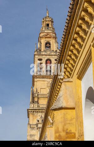 Cordoba, Provinz Cordoba, Andalusien, Spanien. Glockenturm der Kathedrale von Cordoba, einer ehemaligen Moschee. Stockfoto