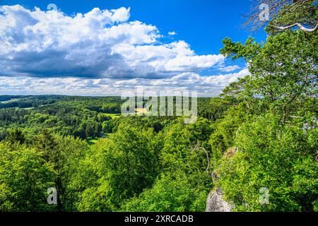 Deutschland, Bayern, Fränkische Schweiz, Pottenstein, Bezirk Leienfels, Burgruine Leienfels, Blick nach Norden Stockfoto