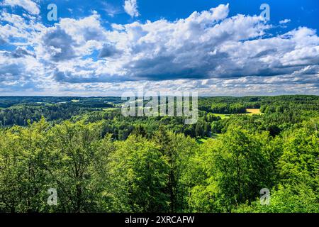 Deutschland, Bayern, Fränkische Schweiz, Pottenstein, Bezirk Leienfels, Burgruine Leienfels, Blick nach Norden Stockfoto