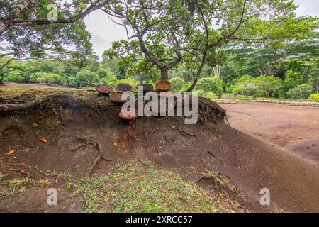 Landschaft, aufgenommen bei Sonnenuntergang im Regen, weltberühmter Ort, siebenfarbige Erde, Naturwunder im Black River Gorges National Park, Mauritius Stockfoto