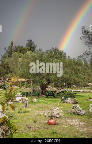 Typisch griechische Landschaft, mediterrane Natur Griechenlands, Landschaft während des Tages auf Zakynthos, Ionischen Inseln, Griechenland Stockfoto