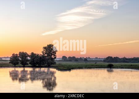 Morgenstimmung am Radegaster Haken in der Elbtalaue in Niedersachsen Stockfoto