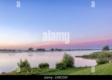 Morgenstimmung am Radegaster Haken in der Elbtalaue in Niedersachsen Stockfoto